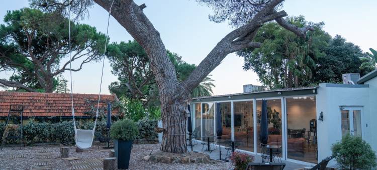 位于埃斯托里尔的一所房子(A House in Estoril - Adults Only)图片