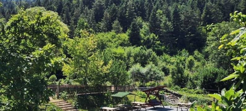 亚班特瓦蒂酒店(Abant Vadi)图片