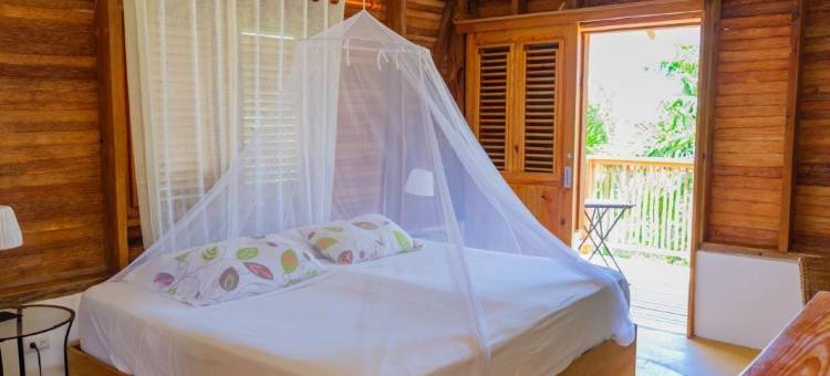 克拉夫弗德生态山林小屋(Clave Verde Ecolodge)图片