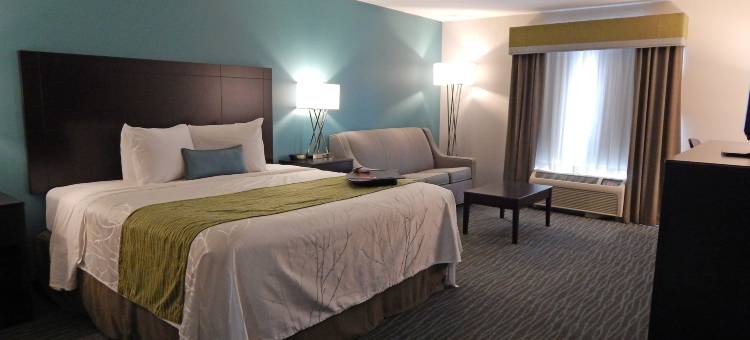 温德姆华美达酒店 伯克伯内特 / 威奇托福尔斯(Ramada by Wyndham Burkburnett / Wichita Falls)图片