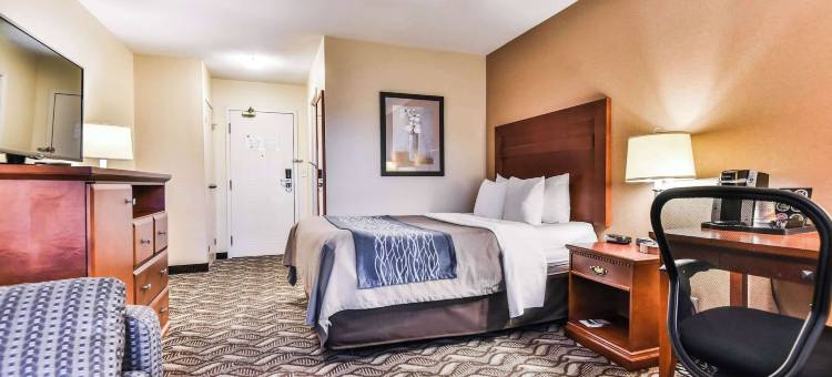 舒适酒店及套房大使桥(Comfort Inn & Suites Ambassador Bridge)图片