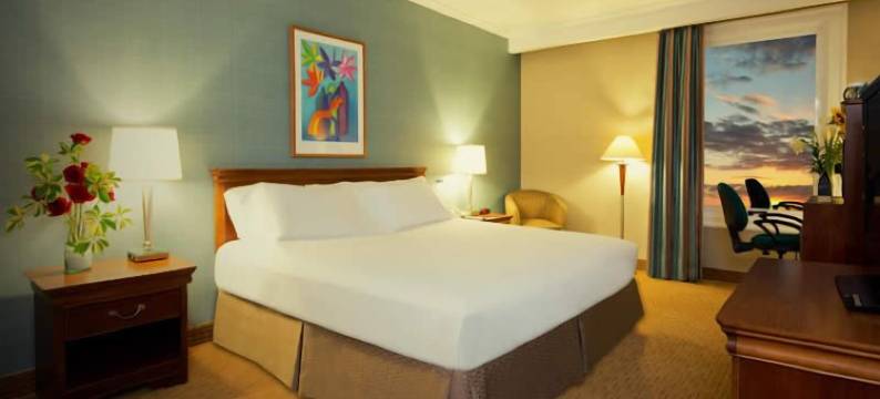 欧陆快捷酒店埃尔蒂格雷(Eurobuilding Express El Tigre)图片