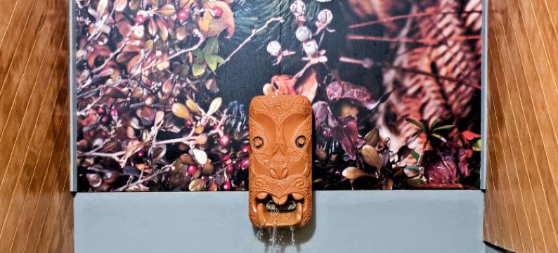 陶波德布雷兹温泉度假村(Taupo Debretts Spa Resort)图片