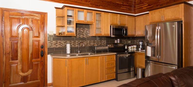 费尔威新金斯敦旅客公寓酒店(New Kingston Guest Apt at Fairway)图片