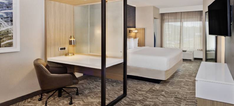 伯明翰科罗内德／格兰德维尤万豪SpringHill酒店(SpringHill Suites Birmingham Colonnade/Grandview)图片