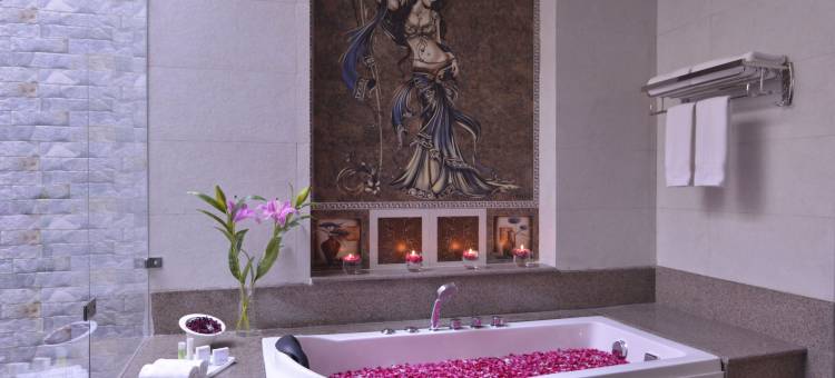 奥恰宫酒店和会议中心(Orchha Palace and Convention Centre)图片