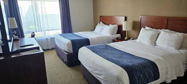 舒适酒店(Comfort Inn)图片