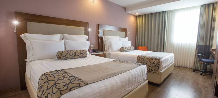 奎雷塔罗浩特森酒店(HS Hotsson Hotel Queretaro)图片