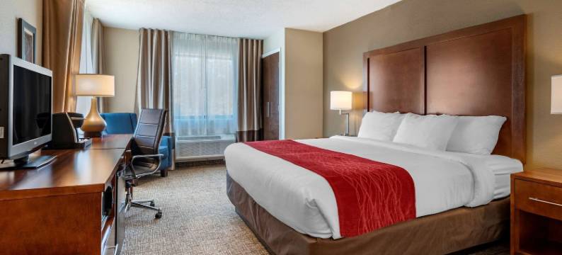 拉波特舒适酒店(Comfort Inn la Porte)图片