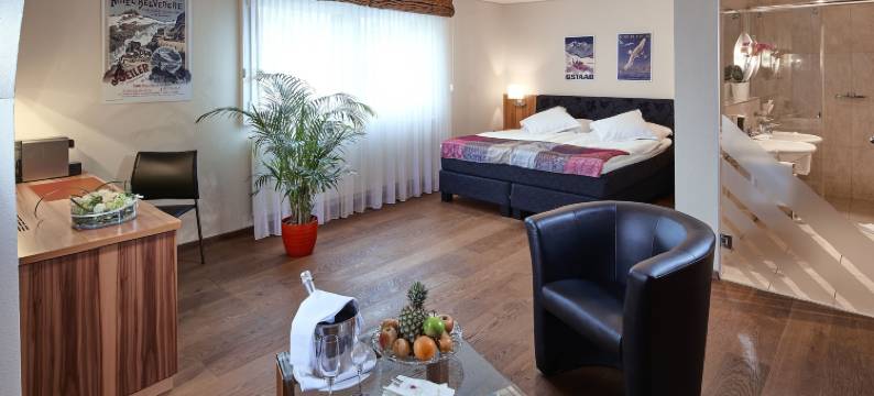 大使酒店(Hotel Ambassador)图片