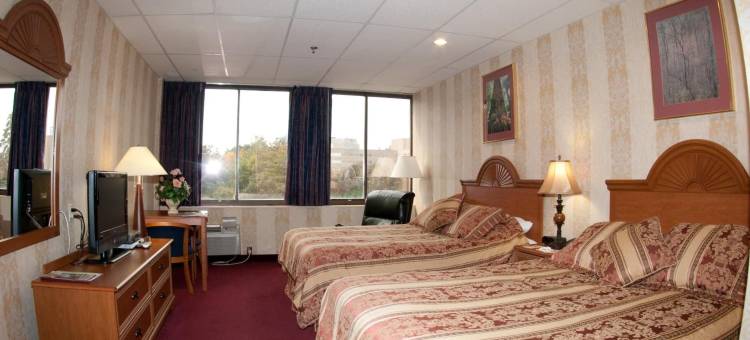 阿姆斯特丹酒店(Amsterdam Hotel)图片