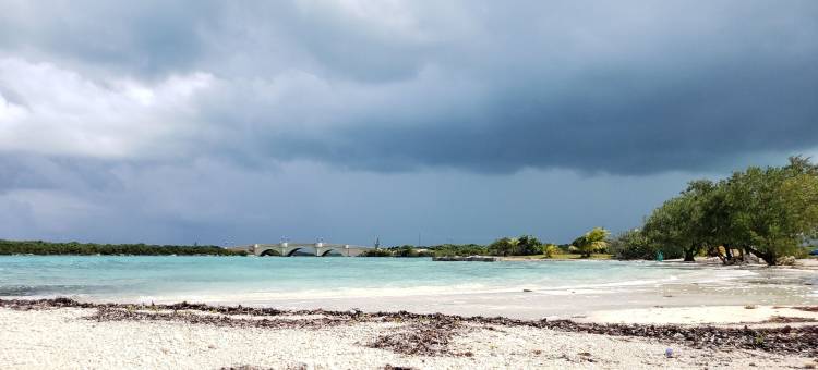 海雾别墅酒店(Ocean Mist Villa)图片