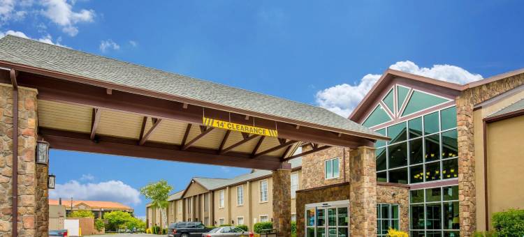 市中心舒适酒店(Comfort Inn Downtown)图片