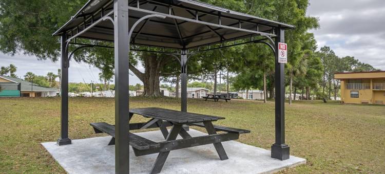 克莱蒙北部的罗德威旅馆(Rodeway Inn Clermont North)图片