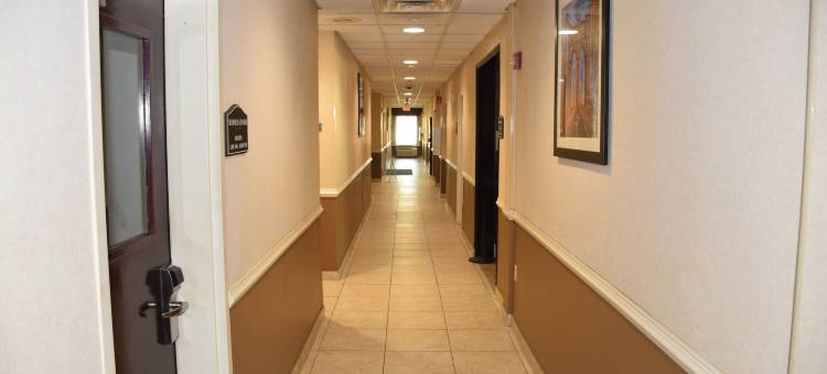 Spark by Hilton Rahway图片