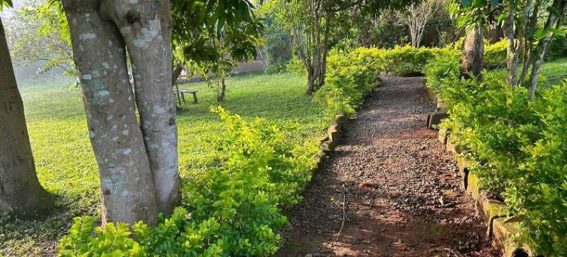 Nguse河营地(Nguse River Camp)图片