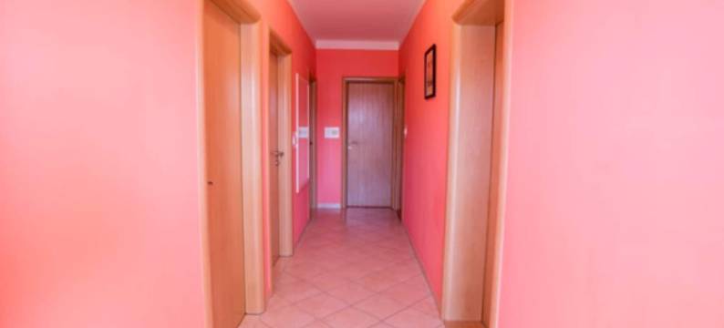 佐拉公寓(Apartments Zora)图片