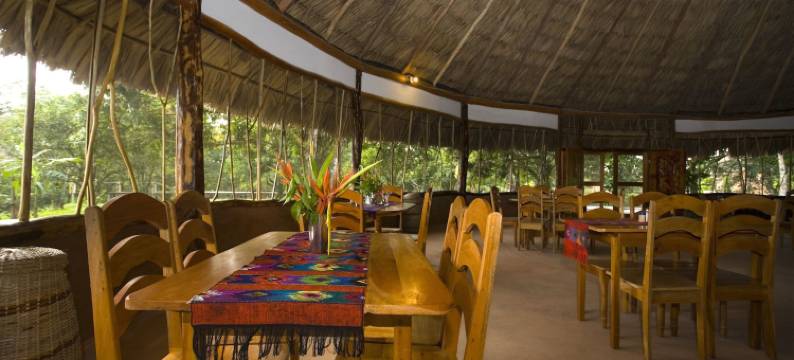 棉花树旅馆(Cotton Tree Lodge)图片