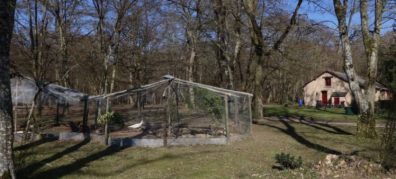 拉法桑德耶(La Faisanderie)图片