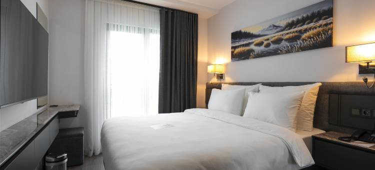 Best Western Plus Trabzon图片