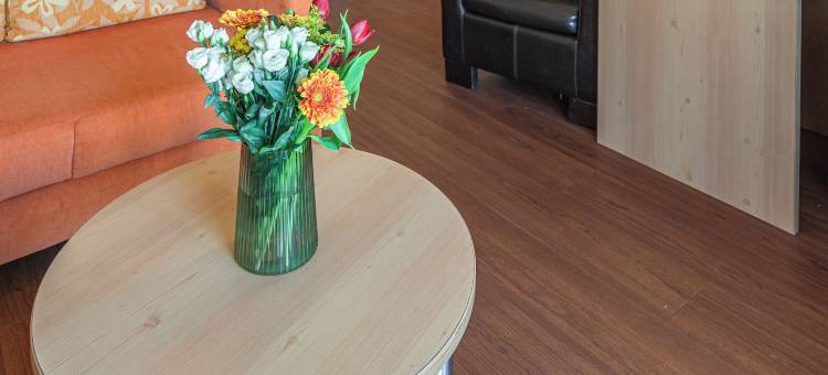 DEVA酒店Renchtalblick(Deva Hotel Renchtalblick)图片