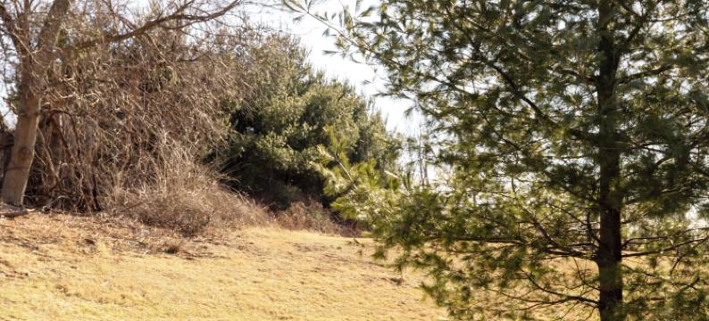 布林顿套房酒店(Brinton Suites)图片