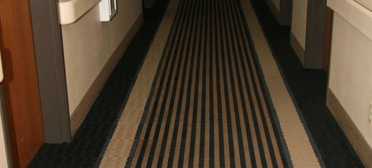 东企业酒店(Corporate East Hotel)图片