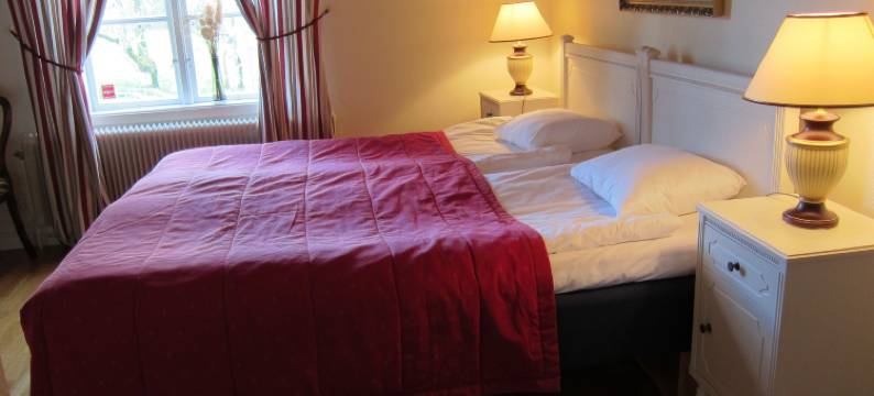 塔瑟斯图扬赫尔加德酒店(Tössestugan Herrgårdshotell)图片