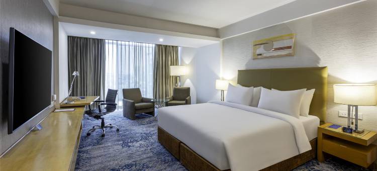 浦那卡拉迪丽笙酒店(Radisson Blu Hotel Pune Kharadi)图片