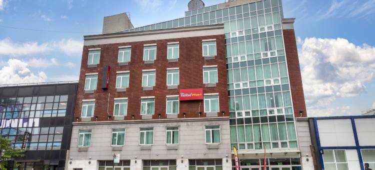 红屋顶PLUS+布鲁克林-弗拉特布什大道(Red Roof PLUS+ Brooklyn - Flatbush Ave)图片