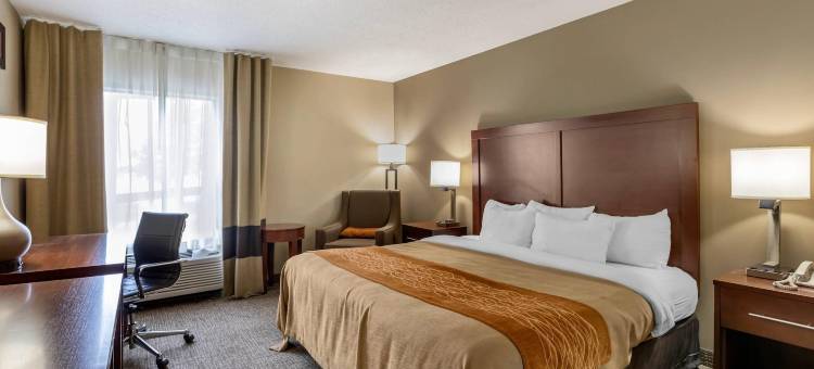 舒适酒店-沃尔科特近达文波特(Comfort Inn Walcott Near Davenport)图片