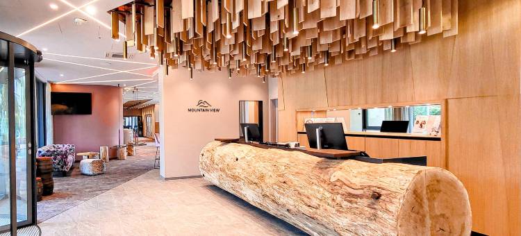 Mountain View Hotel Willingen, BW Signature Collection图片