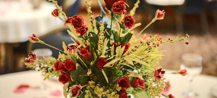 Homewood Suites by Hilton-朗维尤(Homewood Suites by Hilton Longview)图片