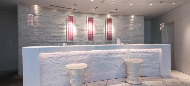 大阪厄尔瑟雷酒店(Hotel Elsereine Osaka)图片