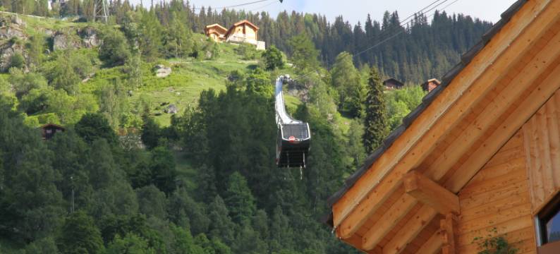 Glacier Views & Ski Trails图片