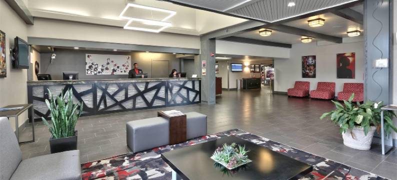 阿尔伯克基市中心温德姆华美达酒店(Ramada Plaza by Wyndham Albuquerque Midtown)图片