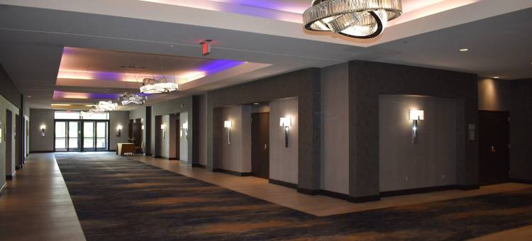 莱尔凯悦酒店-近内珀维尔(Hyatt Regency Lisle Near Naperville)图片