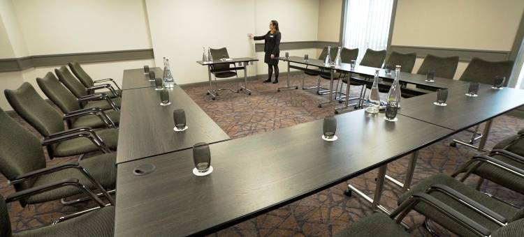 纽兰克罗斯马尔丹酒店(Maldron Hotel, Newlands Cross)图片