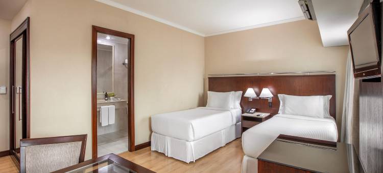 圣保罗伊瓜特米美利亚怡思得酒店(Innside Sao Paulo Iguatemi)图片