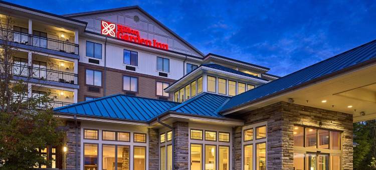 希尔顿花园酒店-鸽子谷(Hilton Garden Inn Pigeon Forge)图片