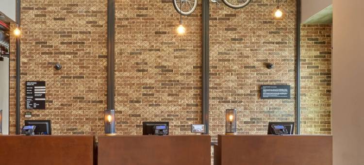 墨西卡利万豪城市快捷普拉斯酒店(City Express Plus by Marriott Mexicali)图片