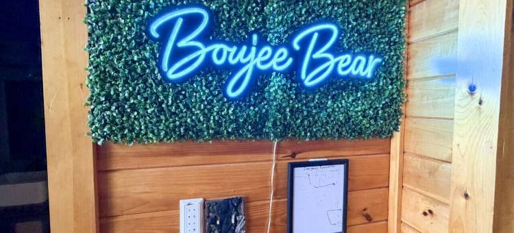 Boujee Bear- 现代化小木屋，距离多莉山主题公园仅数分钟(Mins to Dollywood Renovated Boujee Bear Cabin)图片