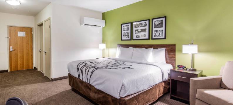 舒眠达拉斯爱田-医学园区酒店(Sleep Inn Dallas Love Field-Medical District)图片