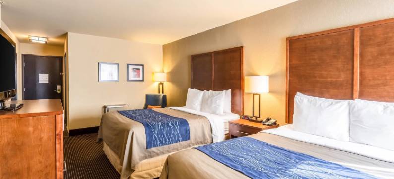 图珀洛舒适酒店(Comfort Inn)图片