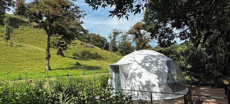 埃皮菲塔蒙特贝尔德帐篷酒店(Epifita, Bosque Nuboso Glamping Monteverde)图片