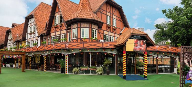 宜必思布卢梅瑙酒店(ibis Blumenau)图片