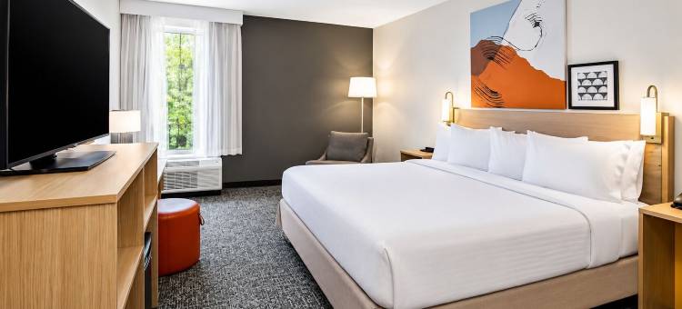 斯帕福德附近舒格兰舒适套房酒店(Comfort Suites Stafford Near Sugarland)图片