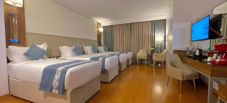 麗兹阿尔马地纳酒店(ALRITZ ALMADINAH HOTEL)图片