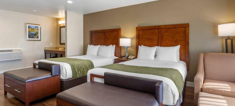 毕晓普舒适酒店(Comfort Inn Bishop)图片