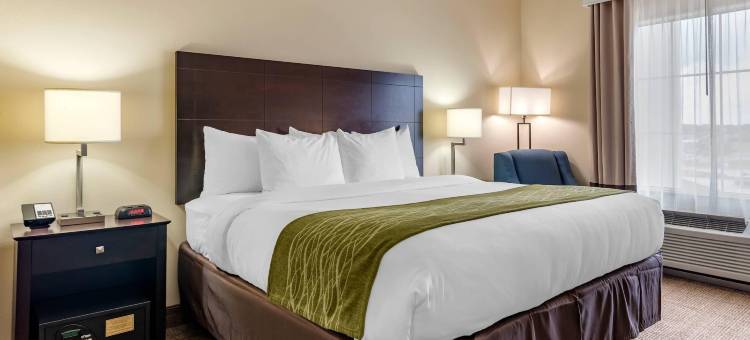 斯科特 - 西拉法叶舒适套房酒店(Comfort Inn & Suites Scott-West Lafayette)图片